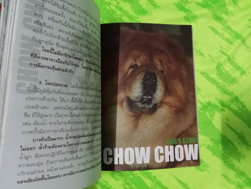 หนังสือคู่มือการเลี้ยง เชาเชา