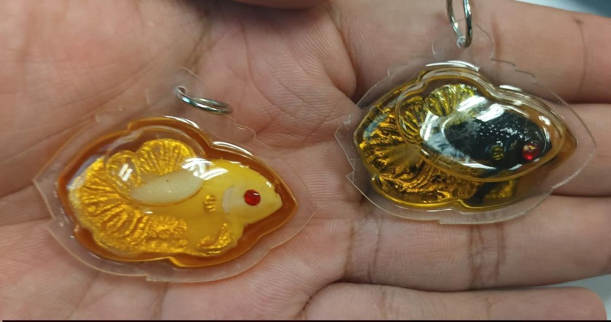 ปลากัดแช่น้ำมันหลวงพ่อเมียน ขนาด 3.7ซม.× 4.8ซม. 2 ตน ขาว ดำเลี่ยมกันน้ำพร้อมห้อย