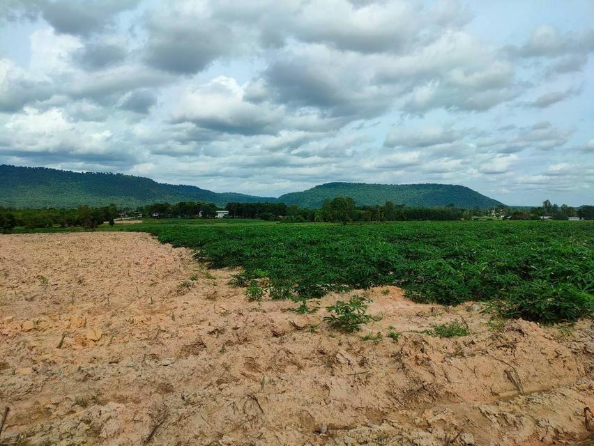 ที่ดิน จำนวน 35 ไร่ 2 งาน อำเภอ กระนวน จังหวัดขอนแก่น 5