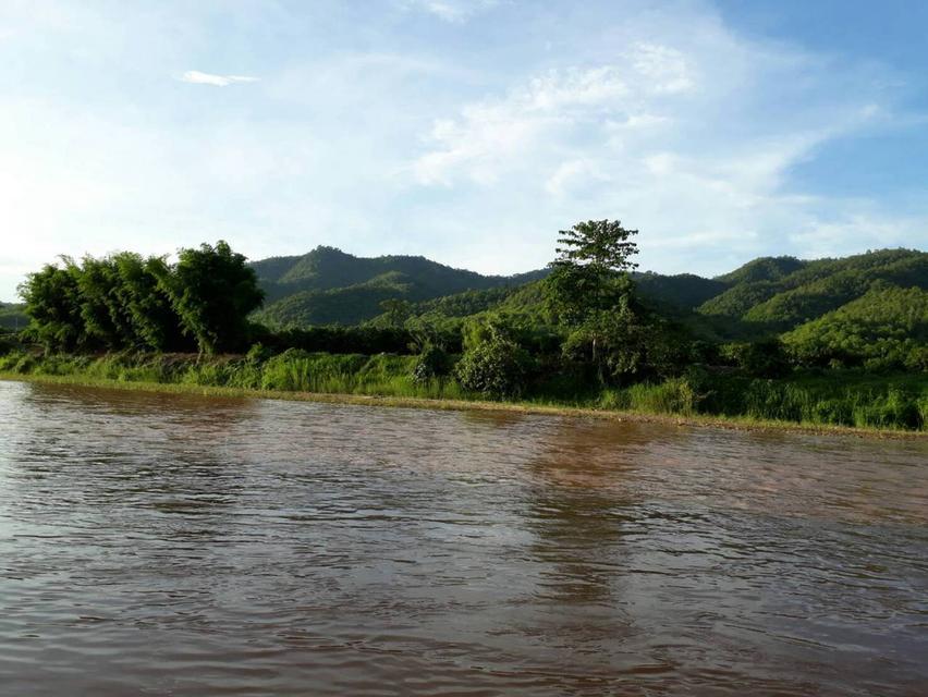 ที่ดินทำเลสวยติดแม่น้ำกก 50 ไร่ — ท่าตอน แม่อาย เชียงใหม่ พร้อมบ้าน + สวน + โกดัง 3