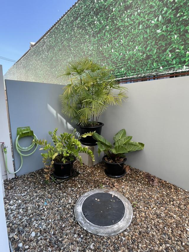 🏡 ทาวน์โฮมสองชั้นในโครงการ ทำเลใกล้ตลาดและเซ็นทรัลเชียงใหม่ #สันทราย ราคาเพียง 22,000 บาท/เดือน✨ 清迈两层联排别墅出租 2 卧室 3 卫生间 – 租金 22,000 泰铢/月 ✨ 7