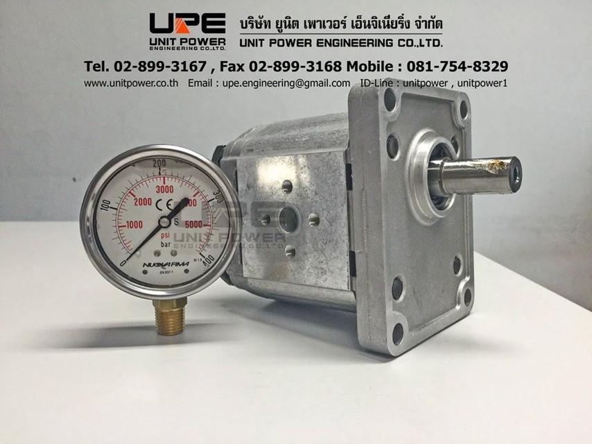 GEAR PUMP CASSAPPA PLP20.8