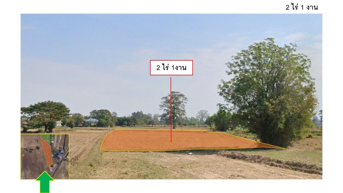 ขายที่ดิน 7 ไร่ บ้านอุดม อ.ธวัชบุรี จ.ร้อยเอ็ด 12