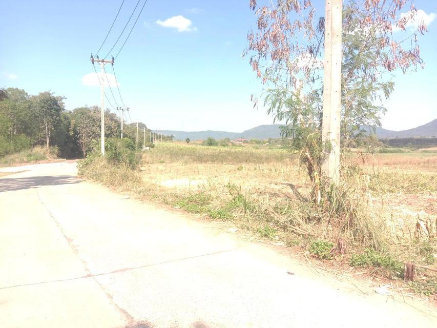 20 ไร่ ที่ดิน ด้านหลัง อำเภอ วังน้ำเขียว ขายยกแปลง 1