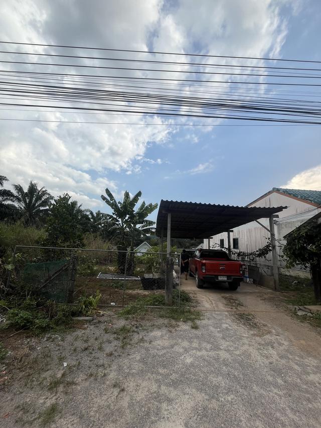 ขายที่ดิน 4 ห้อง land 10