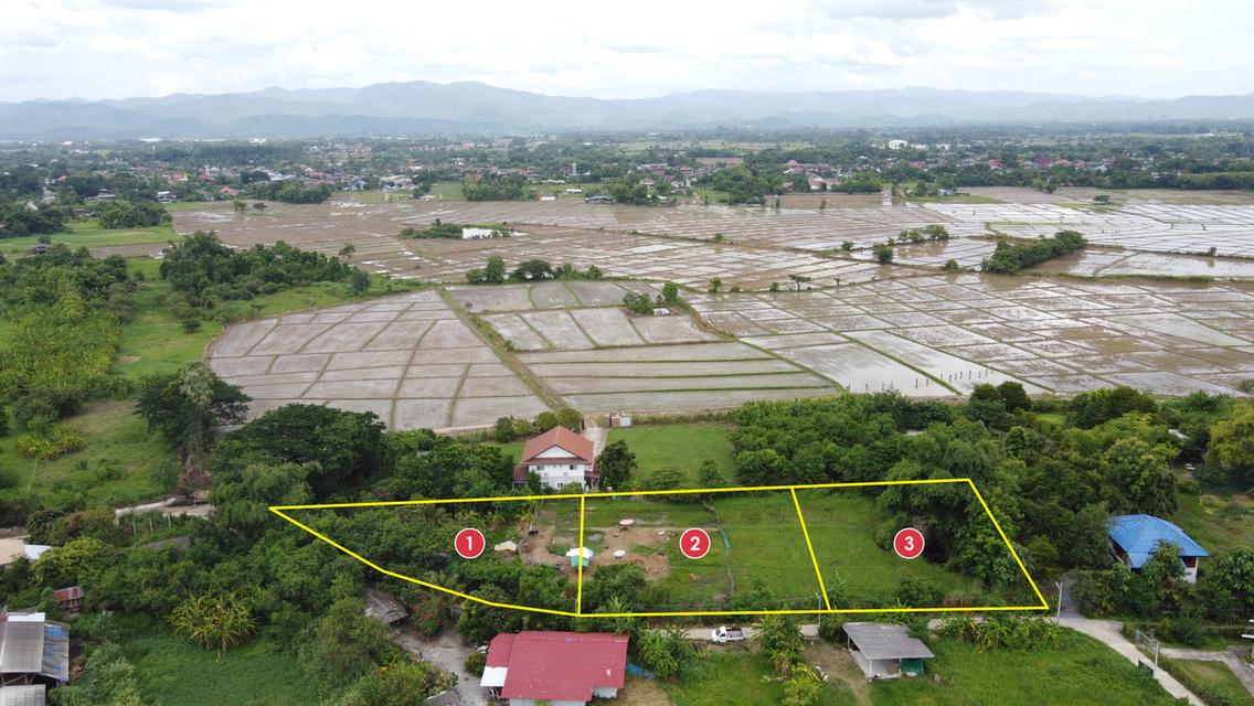  ที่ดิน 3 แปลง 378 วา , 400 วา และ 400 วา ใกล้สันกำแพงสายใหม่ 550 เมตร 5