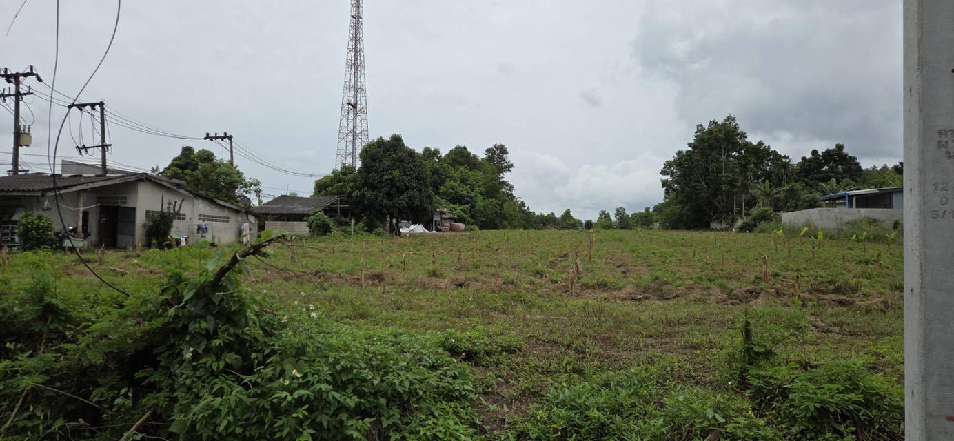 ที่ดิน ทำเลสวย กระบี่ 1