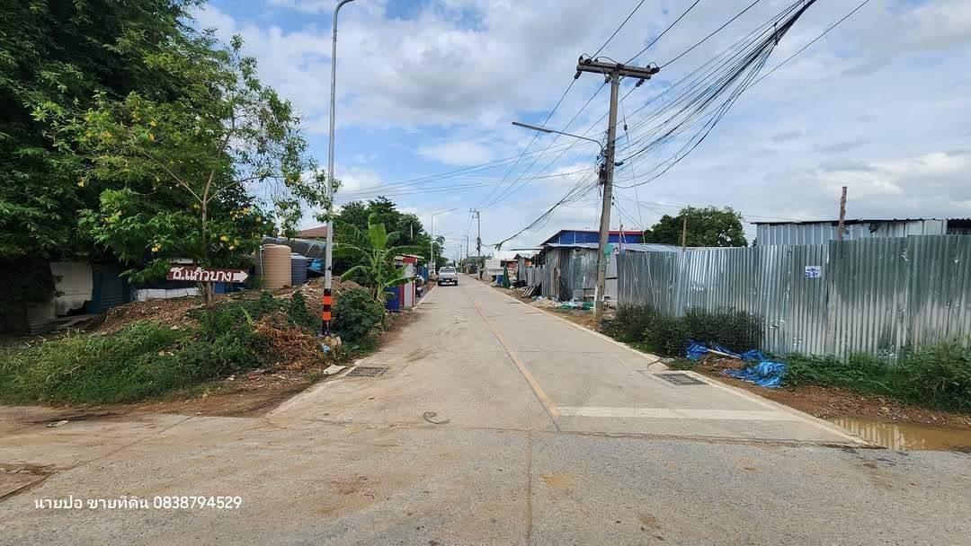 Vายด่วนที่ดินคลองสอง  363 ตารางวา ติดถนนคอนกรีตสาธารณะ  ซอยแก้วบาง อ.คลองหลวง จ.ปทุมธานี 3