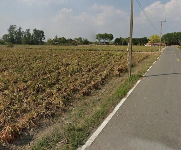 ขายที่ดินพนัสนิคมชลบุรี ขายที่ดินเนื้อที่ 90-2-17 ไร่ พื้นที่ EEC สีเหลืองอ่อน อยู่ติดถนนลาดยางสามด้าน 6