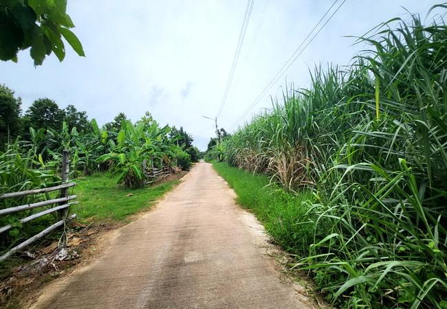 ขายที่ดิน บ่อทอง เทศบาลตำบลธาตุทอง 5 ถนนบ่อทอง ตำบลธาตุทอง อำเภอบ่อทอง ชลบุรี 5