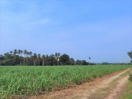 ขาย ที่ดิน แปลงใหญ่ ME152 หนองชัน หนองอิรุณ บ้านบึง ชลบุรี . 100 ไร่ 2 งาน 33 ตรว ติดทางสาธารณะ ห่างถนน 3284 เพียง 2.7 กม. 3