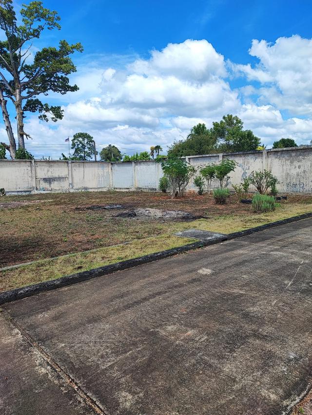 ที่ดินเปล่าในโครงการ  พร้อมสร้างบ้าน 5