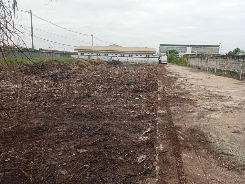 ขายที่ดินเปล่าราคาถูก ที่สวยถมแล้ว 4.5 ไร่ เข้าซอยลำลูกกา 69 (ซอยธารทอง) เป็นถนนทางลัดไปถนนรังสิต-นครนายก ใกล้สถานีรถไฟฟ้าลำลูกกา 5