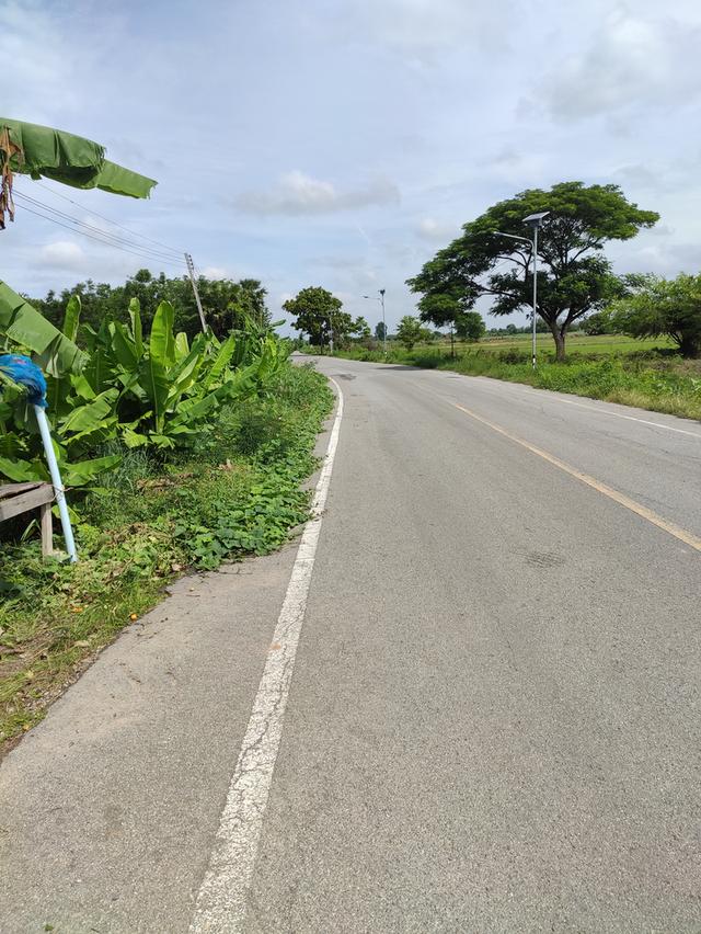 ขายที่ดิน 5