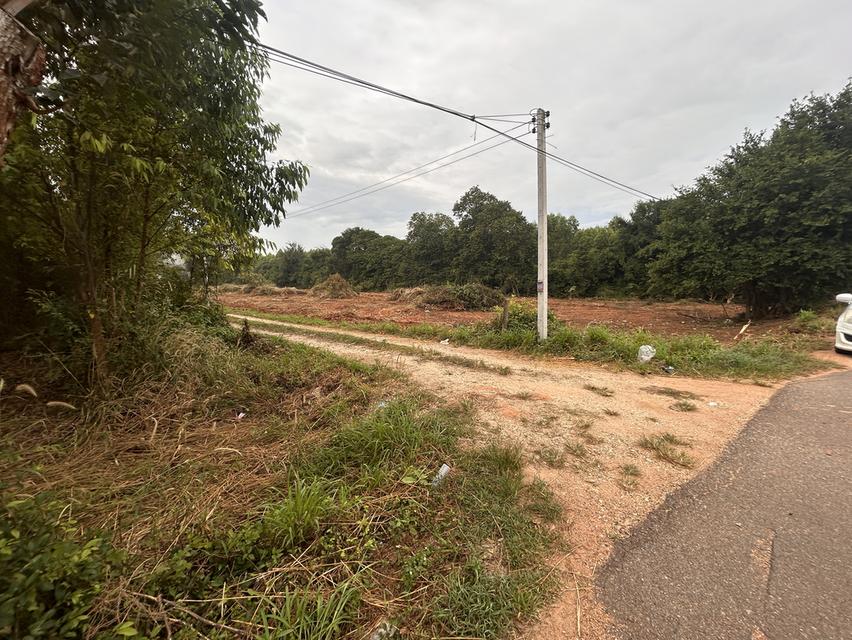 ขายที่ดิน  2 ไร่ห่างจาก331 หนึ่งกิโล 2