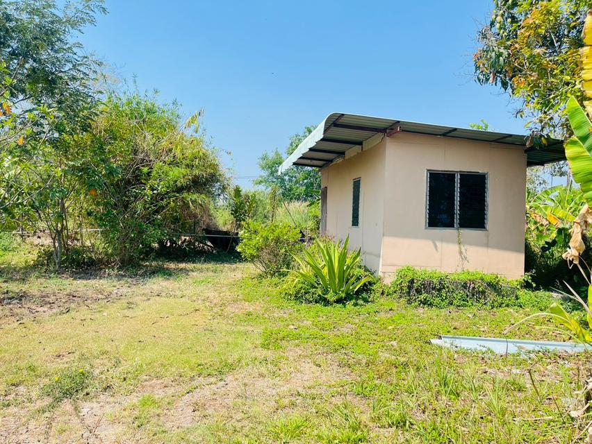 ที่ดิน พร้อมบ้านเดี่ยว 2 ชั้น ถนนรังสิต-นครนายก ตำบลบึงน้ำรักษ์ อำเภอธัญบุรี จังหวัดปทุมธานี 11