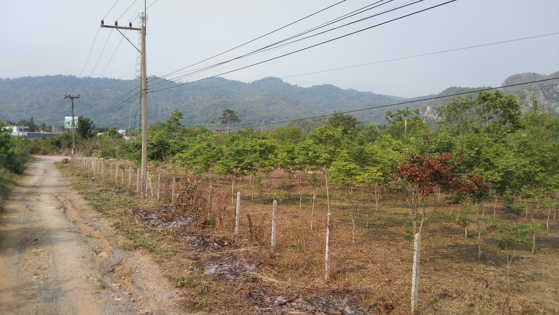 ที่ดินทำเลทองเขาใหญ่ 6
