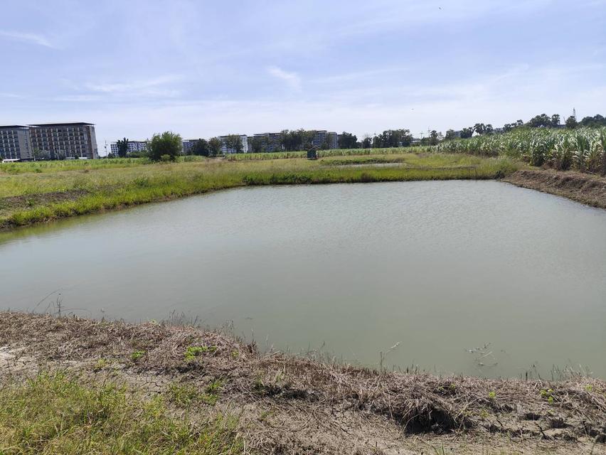 ขายที่ดิน แปลง 1-9 ไร่ ใกล้ มหาลัยเกษตรศาสตร์ กำแพงแสน Land for sale Nakhon Pathom 3