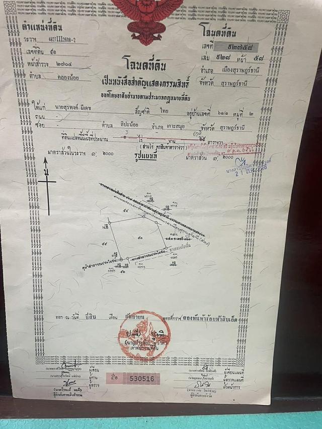 ที่ดิน3ไร่กว่าๆถนน สุราษฎร์-สนามบิน 1