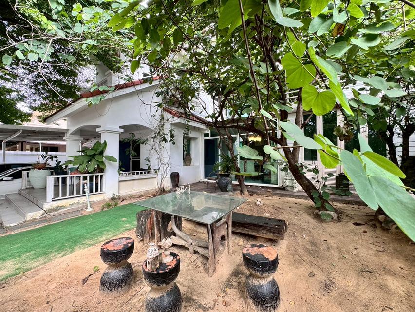 ขายบ้านเดี่ยว 2 ชั้น หมู่บ้านชัยพฤกษ์รามอินทรา บ้านหลังมุมพื้นที่เยอะ 1789 4