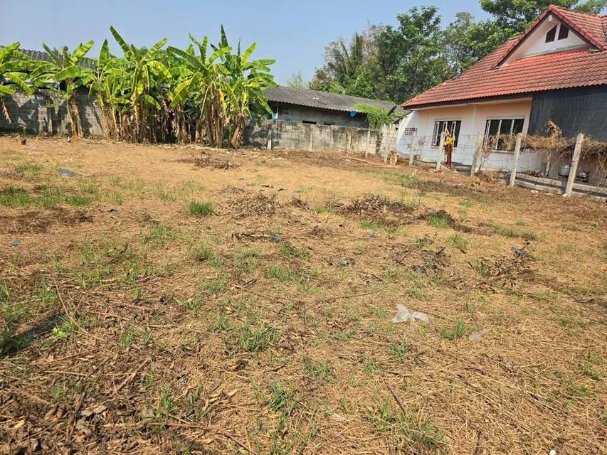 ขายด่วน  ที่ดิน 126 ตารางวา ติดถนนคอนกรีตสาธารณะ มะเดื่อ เมืองนครปฐม 4