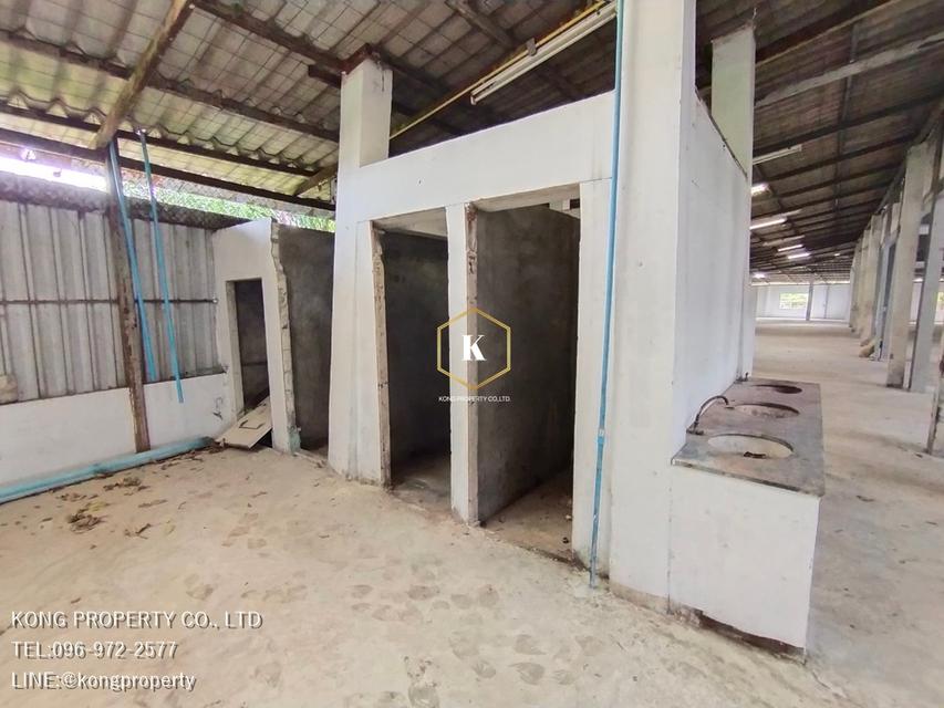 ให้เช่าโรงงาน ราคาถูก พระราม2 สมุทรสาคร ออฟฟิศ,บ้านพักคนงาน,เคน 2 ตัว 19