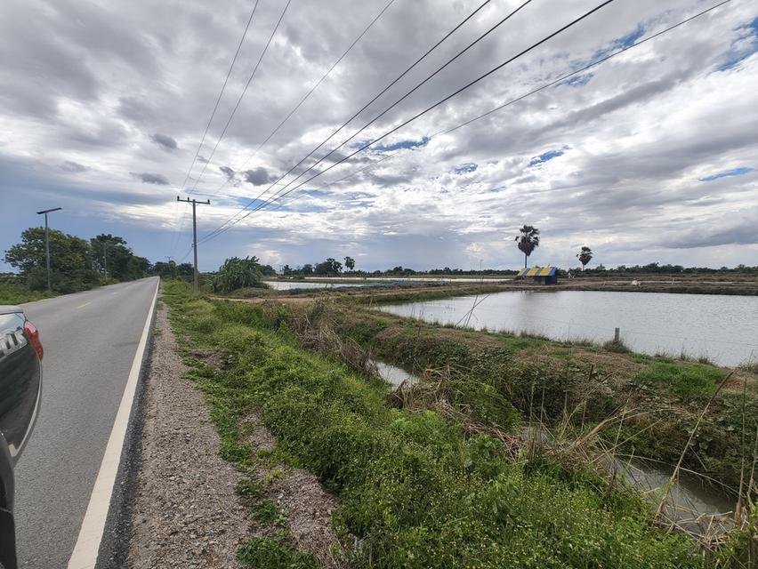 ขายที่ดิน 36 ไร่ ขายยกแปลง 16 ล.บ. อ.บางเบน จ.นครปฐม 3