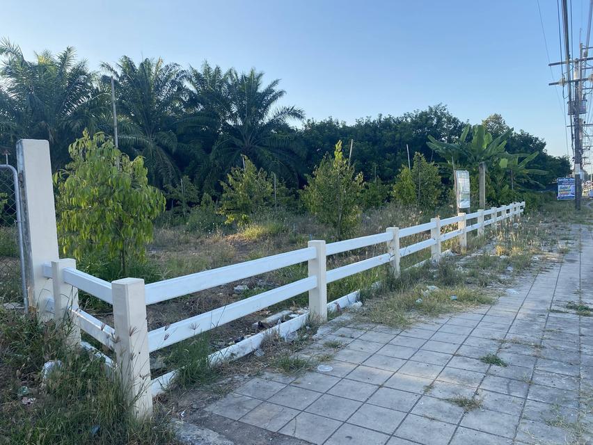 ที่ดินมีรายได้ ทำเลอนาคต ตรงข้ามโลตัสเวียงสระ 5