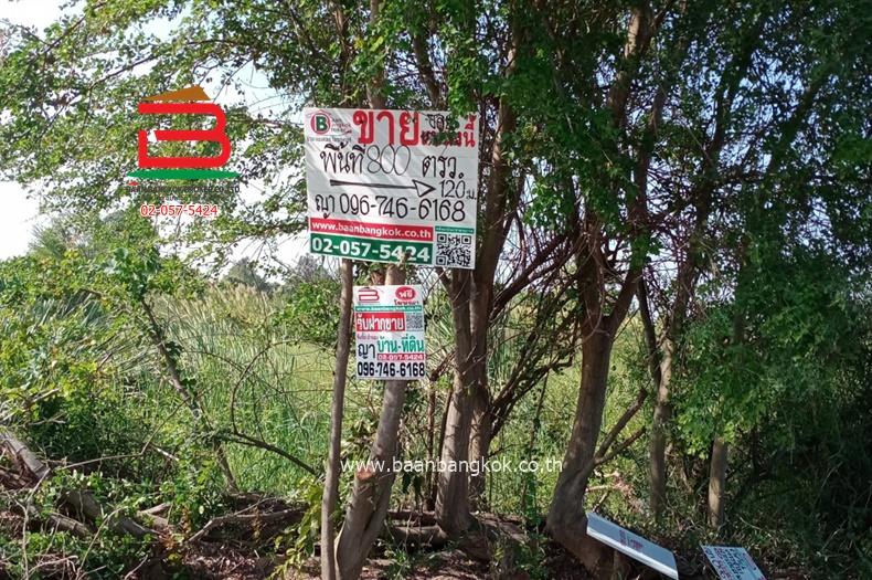 ที่ดินเปล่า(ยังไม่ถม) ซอยบ้านจิตธรรมดี-ลาดบัวหลวง (ตรงข้ามสวนอินทผาลัม) เนื้อที่ 2 ไร่ 800 ตรว. ถนนสายเอเชีย ตำบลพระยาบันลือ อำเภอลาดบัวหลวง 3