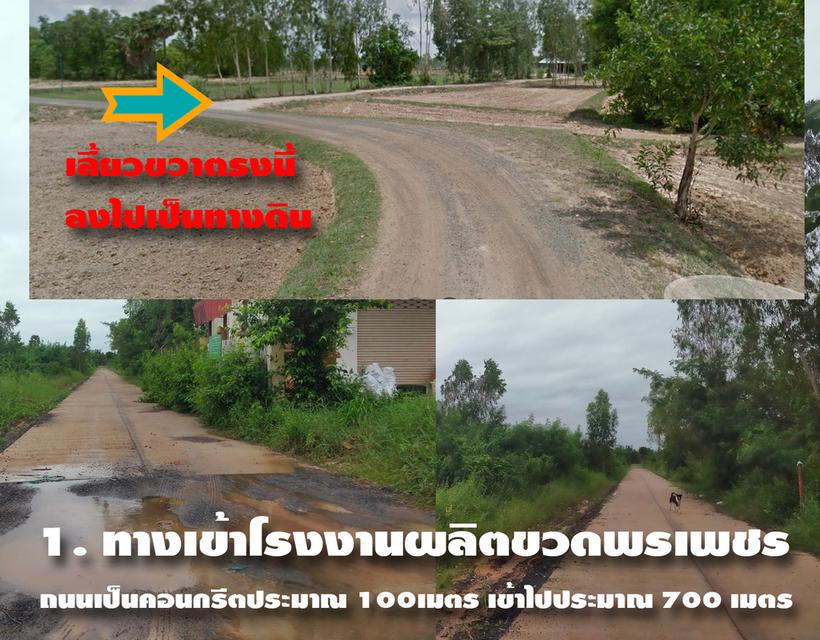 ขายที่ดินเปล่า 1 ไร่ ใกล้โรบินสันสุรินทร์ ต.สลักได อ.เมืองสุรินทร์ 2