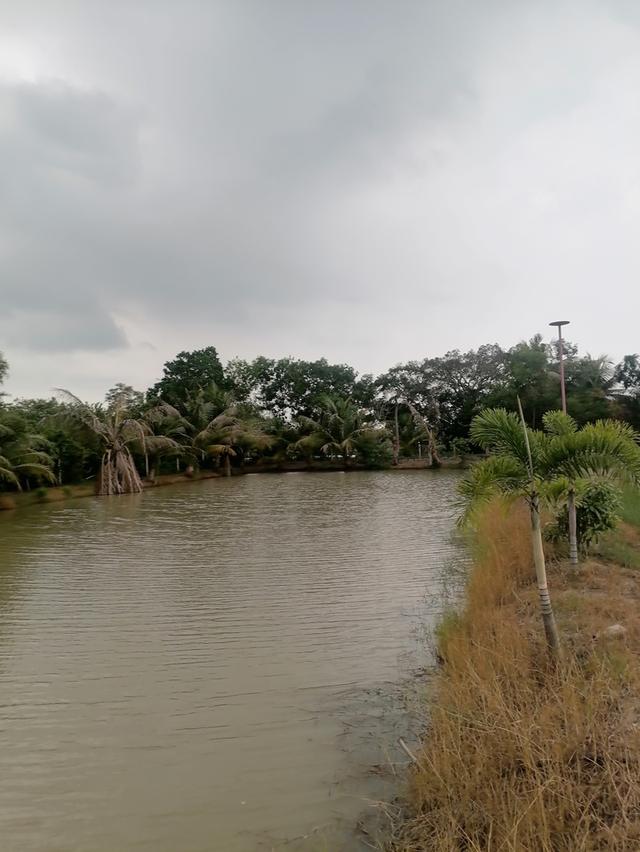 ที่ดินสวยบรรยากาศ​ดีใกล้กรุงเทพ​ เดินทางสะดวก​ 9