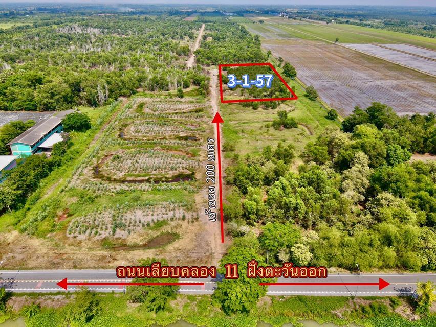 ขายที่ดินนพรัตน์ 3 ไร่ คลอง11 เข้าซอยจากถนนใหญ่3022-200เมตร อ.หนองเสือ ปทุมธานี 8