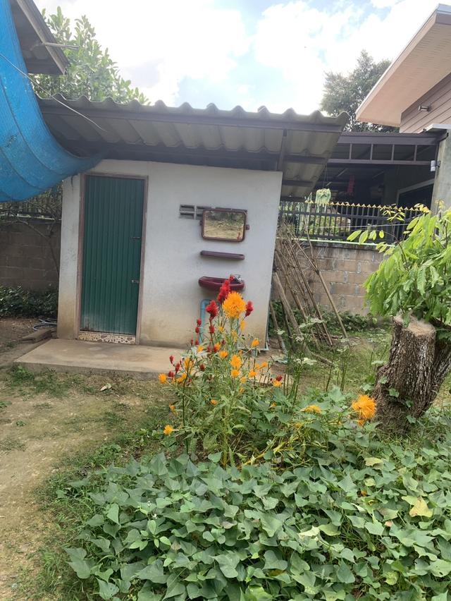 บ้านพร้อมที่ดินในตัวเมืองเชียงดาว 11