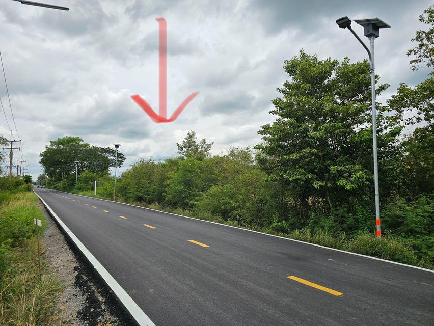 ที่ดิน 3 ไร่ 152 ตรว. อยุธยา บ้านดอนพรม  1