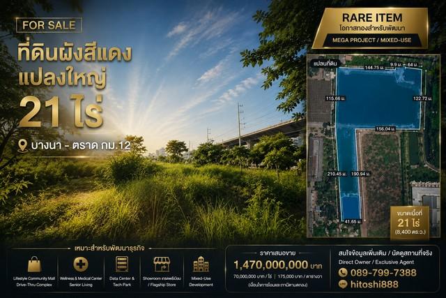 FOR SALE ที่ดินผังสีแดง 21 ไร่ Rare Item  ติดถนนบางนา – ตราด กม.12  ที่ดินแปลงใหญ่ศักยภาพสูง 1