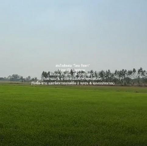 ที่ดิน //ต่ำกว่าราคาประเมิน//ขายที่ดินทุ่งนาข้าว อ.นครหลวง จ.พระนครศรีอยุธยา 17-0-76 ไร่ ราคา 3 ล้านบาท 3000000 BAHT พื้ 6
