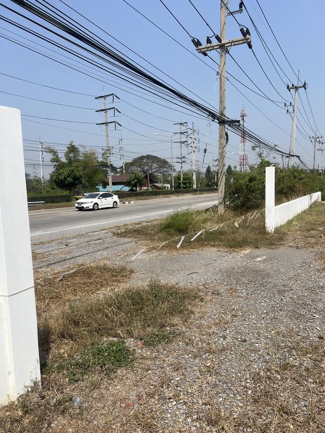 🌿✨ ขายที่ดินติดถนนใหญ่ 321 ใกล้คลอง ✨🌿 ทำเลดี อ.อู่ทอง จ.สุพรรณบุรี 3