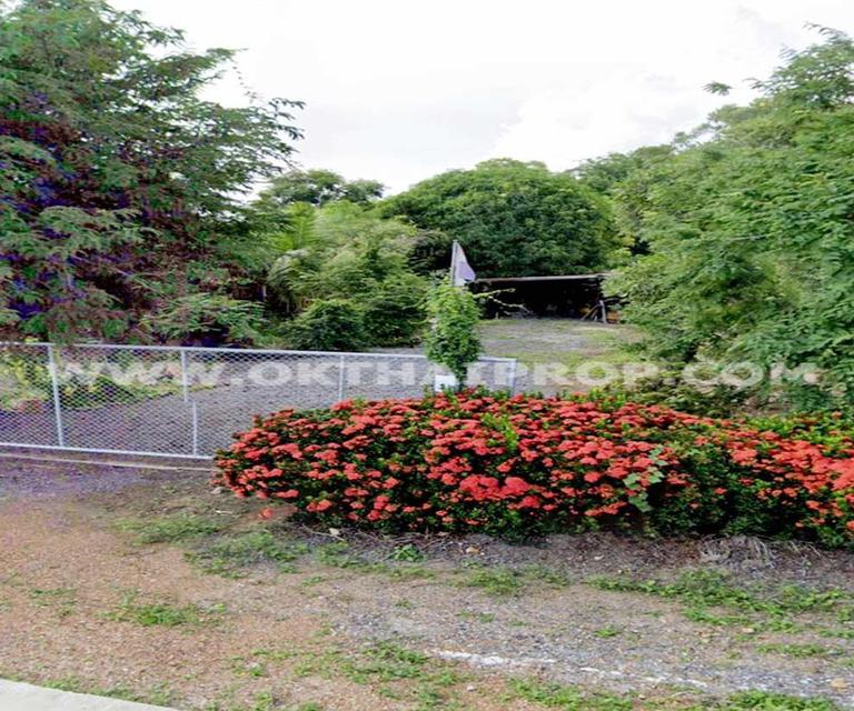 ที่ดิน ถ.ทล.ชนบทพิจิตร3016 ต.วังสำโรง อ.บางมูลนาก จ.พิจิตร 6