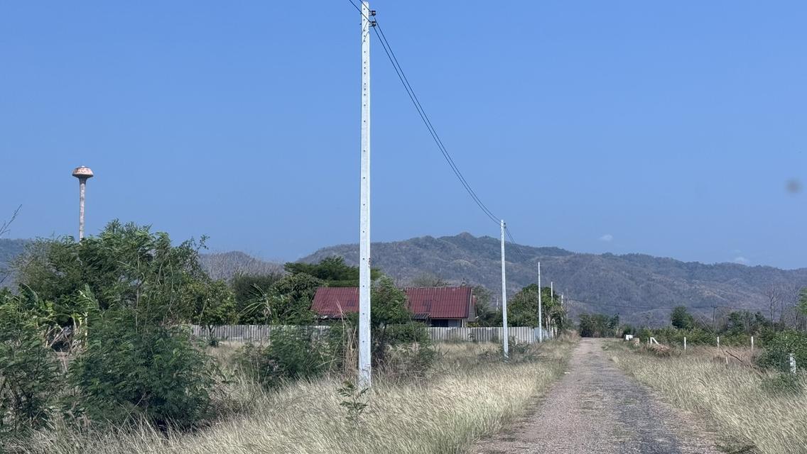 ที่ดินเปล่า 266 ตารางวา ต.วังชมภู อ.เมือง จ.เพชรบูรณ์ 12