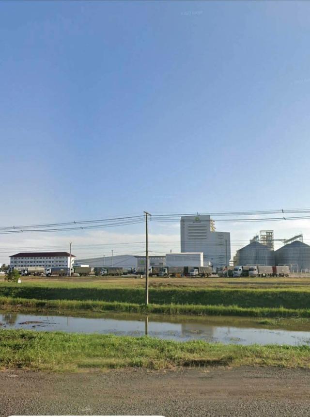 ขายที่ดิน26ไร่อำเภอหนองบุญมากจังหวัดนครราชสีมา #ติดถนนโชคชัยเดชอุดมทร.24 7