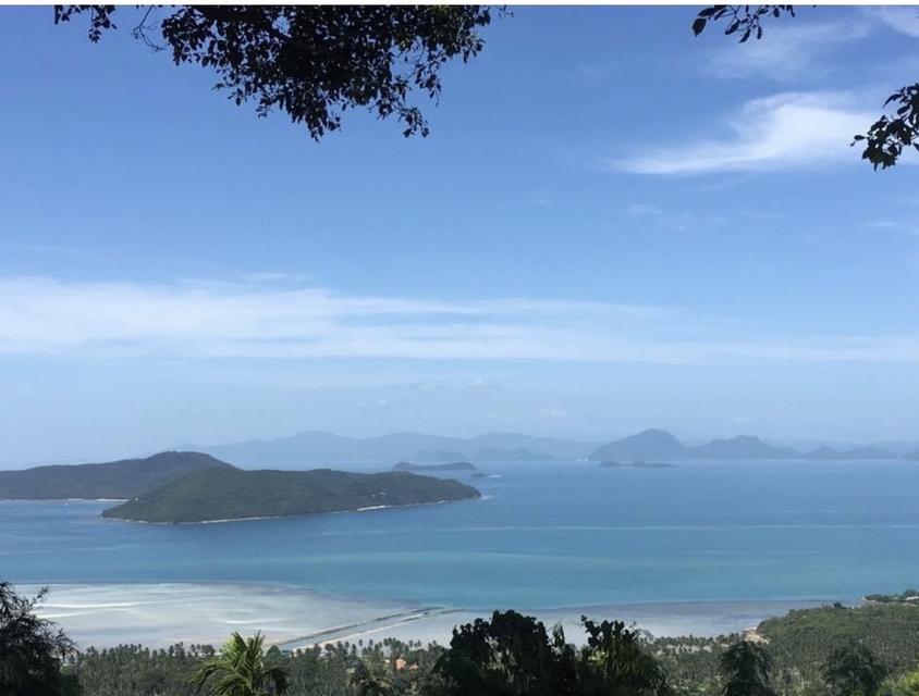 ขายที่ดินวิวทะเล ทำเลทอง เกาะสมุย 9
