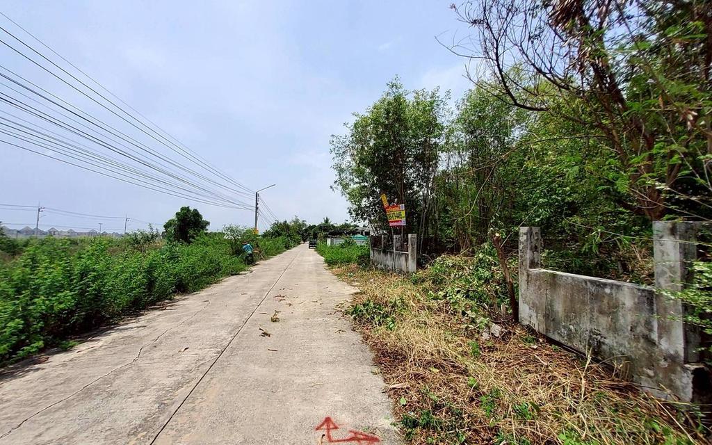 ขายด่วนที่ดินวิวคลอง 95 ตรว ติดถนนสาธารณะ คลองสี่ ซ.สุสวาส ธัญบุรี ปทุมธานี 5