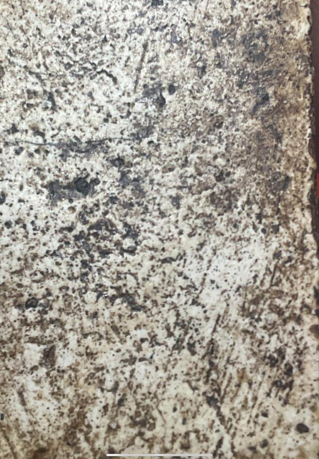 พระสมเด็จทันยุคของแท้ 11