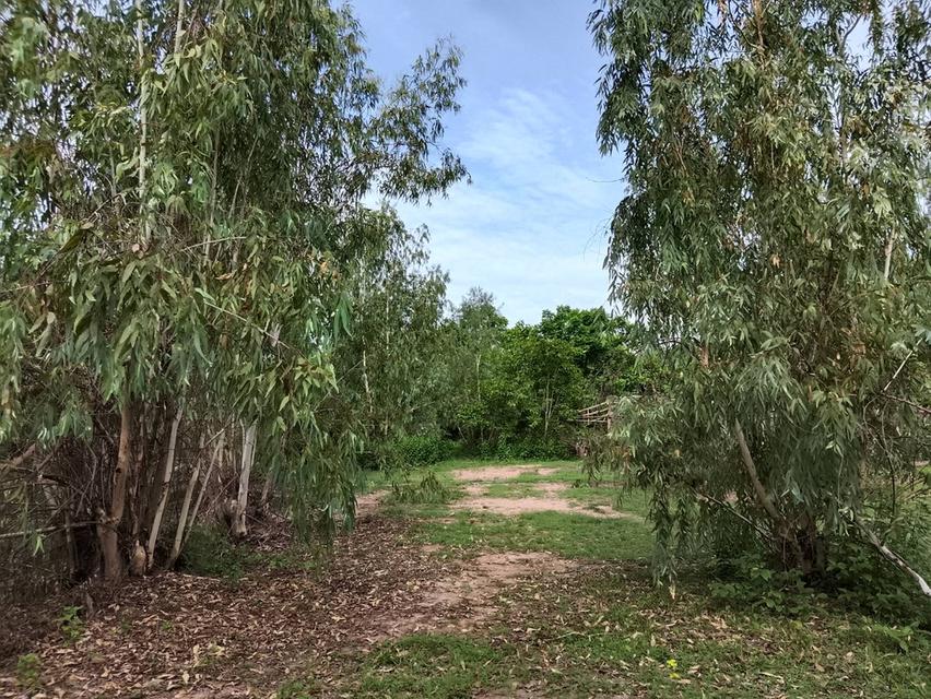 ที่ดิน อำเภอเถิน จังหวัดลำปาง 5