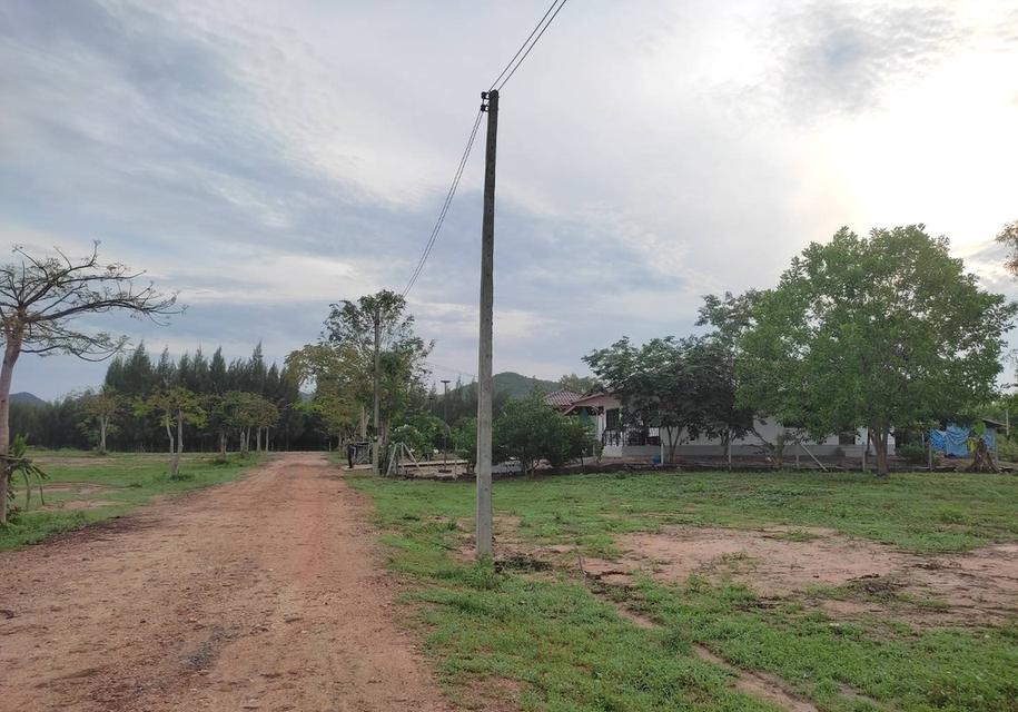 จายบ้านพร้อมที่ดิน บ้าน 2 หลัง ในที่ดิน 1 ไร่ 20