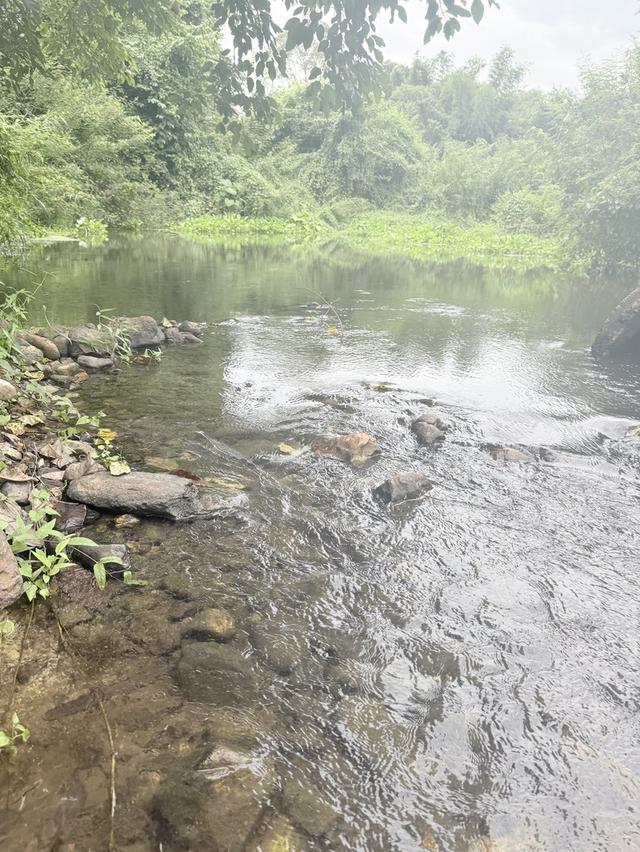 ที่ดินติดน้ำ ติดถนนลาดยาง ภูเขาล้อม หนองหญ้าปล้องเพชรบุรี 4