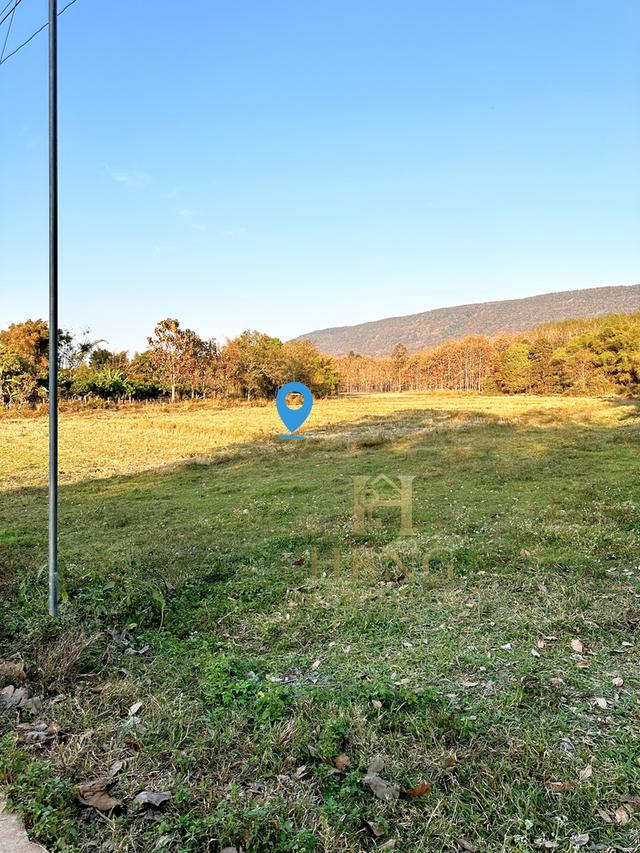 ขายที่ดินเปล่า บ้านบวกปลาหนอน ตีนภูเขา วิวสวยตำบลเวียงห้าว อำเภอพาน 9