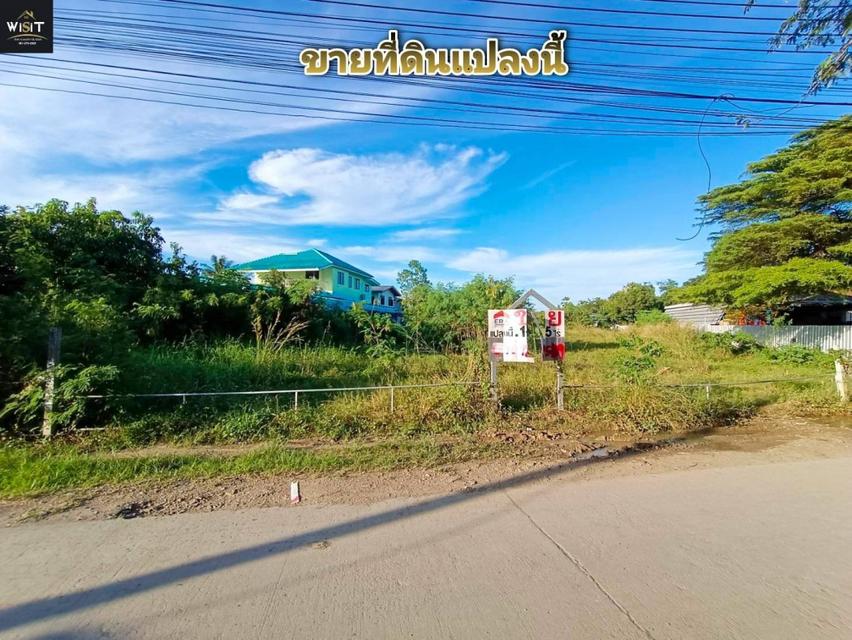 ขายที่ดินเนื้อที่ 1-1-45 ไร่ ซ.วัดบางเตยใน อ.สามโคก จ.ปทุมธานี เหมาะสร้างบ้าน 1