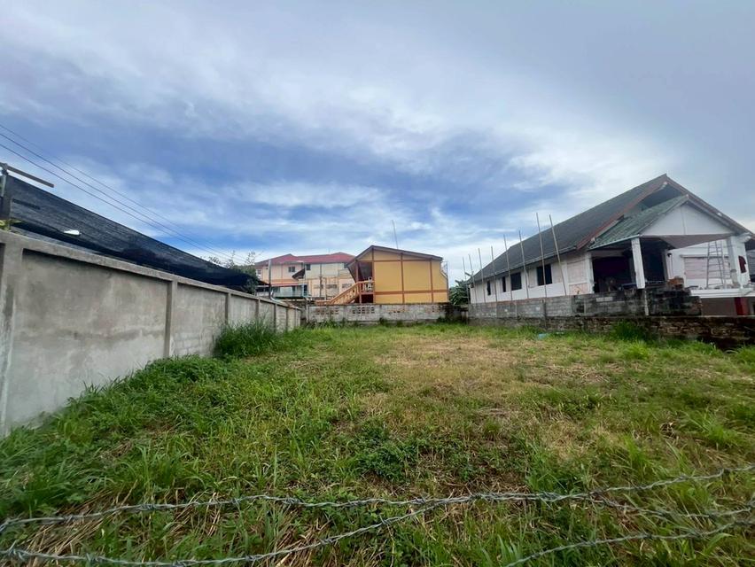 ขายด่วนที่ดินพัทยา บางละมุง ชลบุรี 3