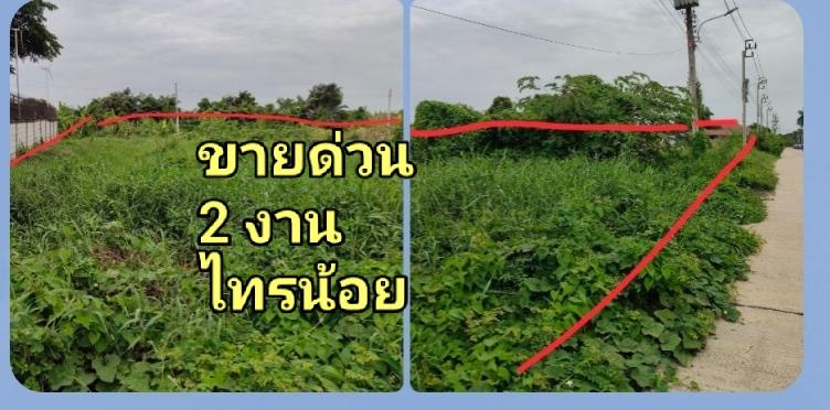 ที่ดินเปล่า ขนาด 200 ตรว. 1